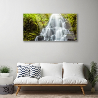 Acrylic Print Waterfall nature white grey green