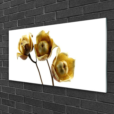 Acrylic Print Flowers floral green brown