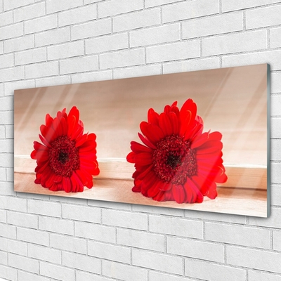 Acrylic Print Flowers floral red