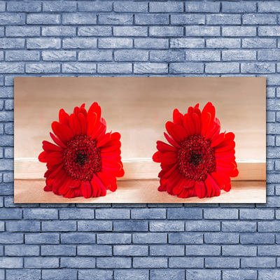 Acrylic Print Flowers floral red