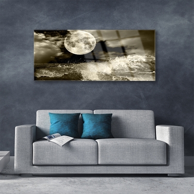Acrylic Print Night moon landscape grey black