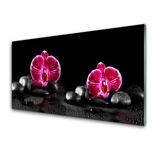 Acrylic Print Flower stones floral black red