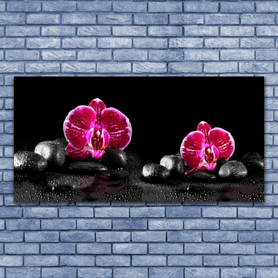 Acrylic Print Flower stones floral black red