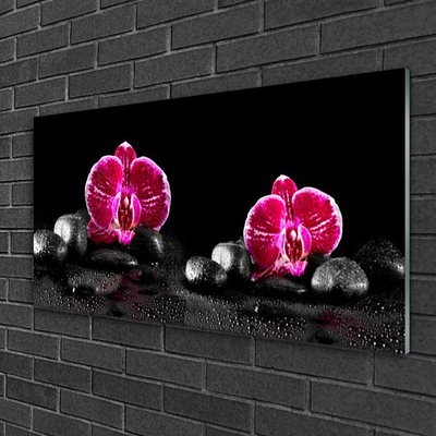 Acrylic Print Flower stones floral black red