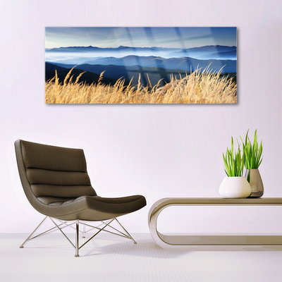 Acrylic Print Field landscape blue white yellow