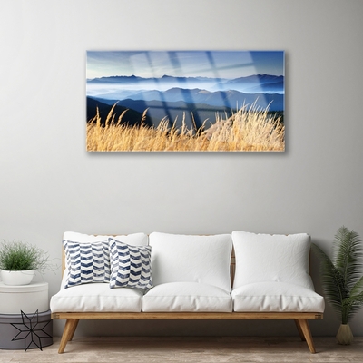 Acrylic Print Field landscape blue white yellow