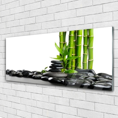 Acrylic Print Bamboo stones art green black
