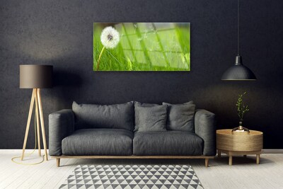 Acrylic Print Pusteblume grass floral white green