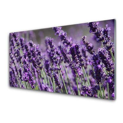 Acrylic Print Flowers floral purple