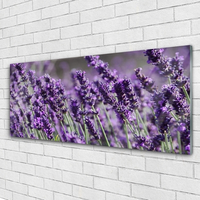 Acrylic Print Flowers floral purple