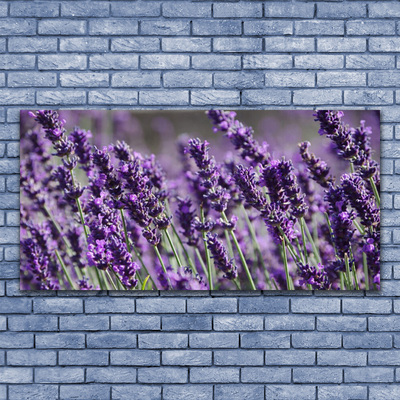 Acrylic Print Flowers floral purple