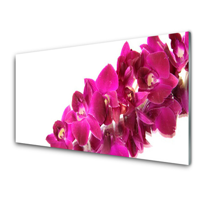 Acrylic Print Flowers floral red