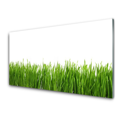 Acrylic Print Grass nature green