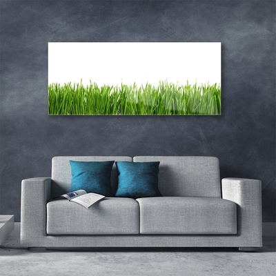 Acrylic Print Grass nature green