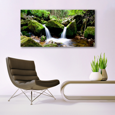 Acrylic Print Waterfall rocks nature green white grey