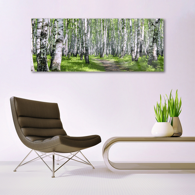 Acrylic Print Forest footpath nature green brown white black