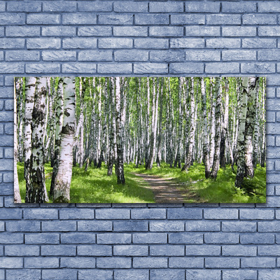 Acrylic Print Forest footpath nature green brown white black
