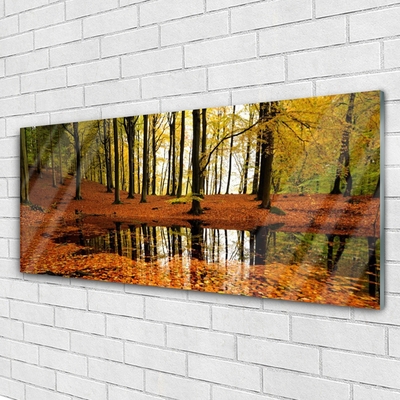 Acrylic Print Forest nature orange brown green