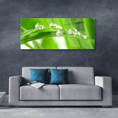 Acrylic Print Leaves floral green