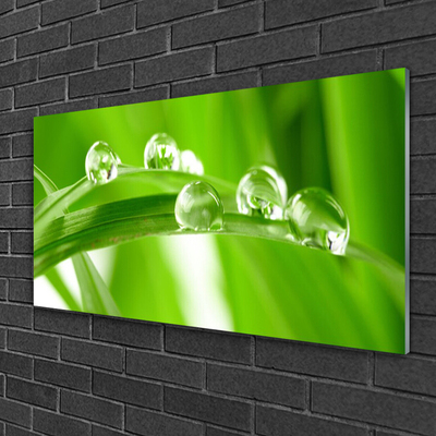 Acrylic Print Leaves floral green