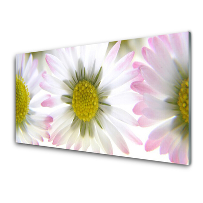 Acrylic Print Daisy floral green grey white