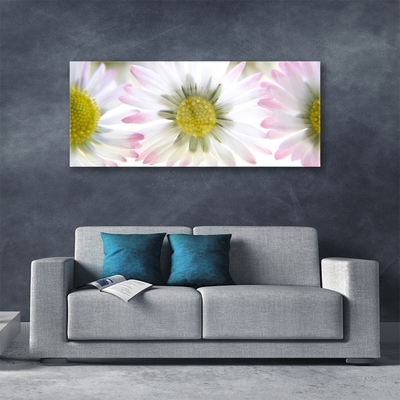 Acrylic Print Daisy floral green grey white