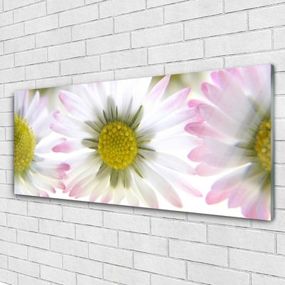 Acrylic Print Daisy floral green grey white