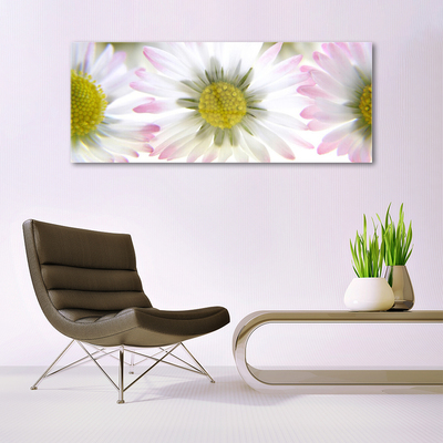 Acrylic Print Daisy floral green grey white