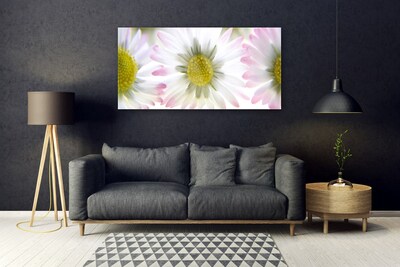 Acrylic Print Daisy floral green grey white