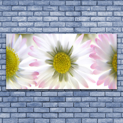 Acrylic Print Daisy floral green grey white