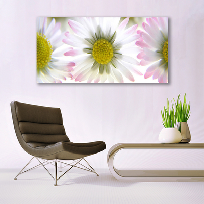 Acrylic Print Daisy floral green grey white