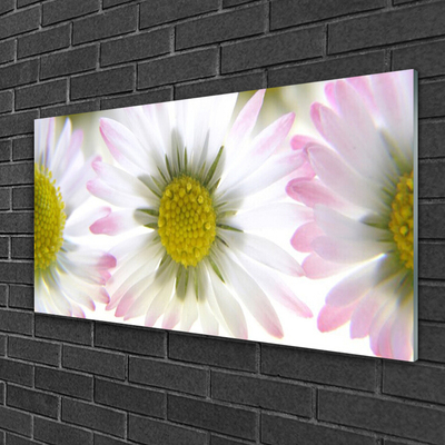 Acrylic Print Daisy floral green grey white