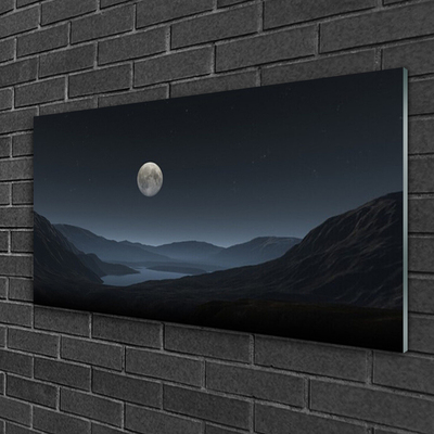 Acrylic Print Night moon landscape grey black