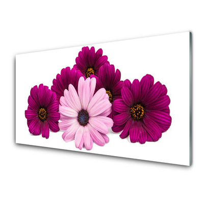 Acrylic Print Flowers floral red pink