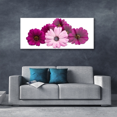 Acrylic Print Flowers floral red pink