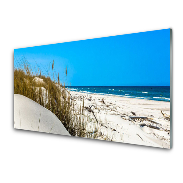 Acrylic Print Beach landscape green white