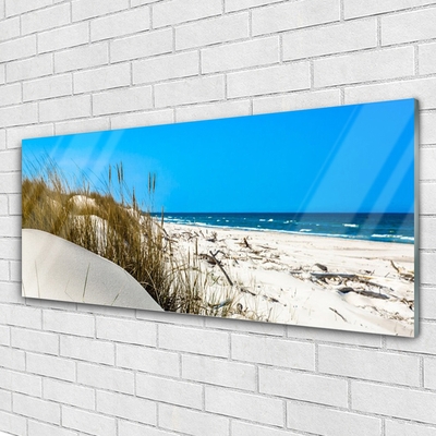 Acrylic Print Beach landscape green white