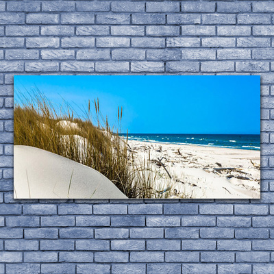 Acrylic Print Beach landscape green white