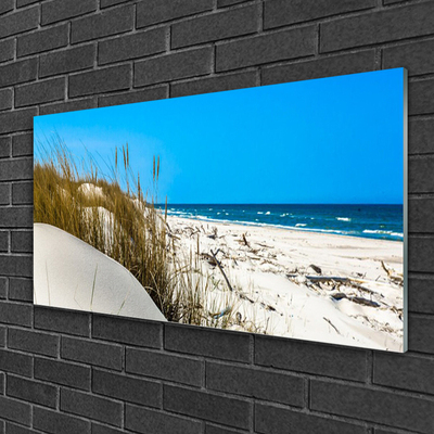 Acrylic Print Beach landscape green white