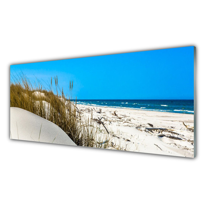 Acrylic Print Beach landscape green white