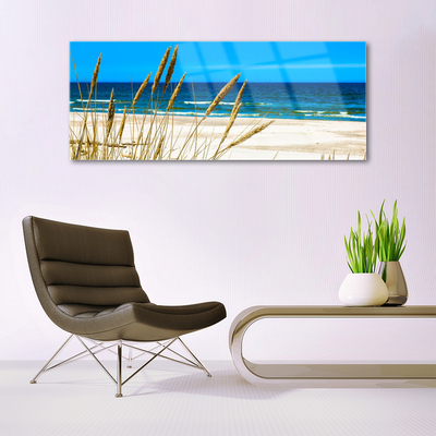 Acrylic Print Ocean beach landscape brown blue
