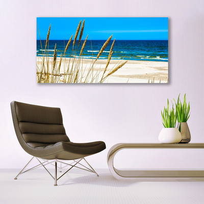 Acrylic Print Ocean beach landscape brown blue