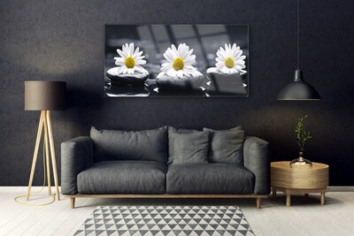 Acrylic Print Daisy stones floral yellow white black