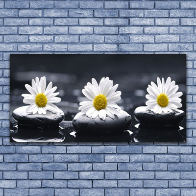 Acrylic Print Daisy stones floral yellow white black