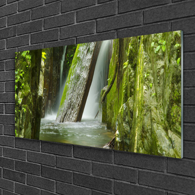Acrylic Print Waterfall nature green grey white