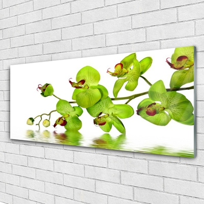 Acrylic Print Flowers floral green
