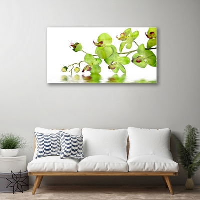 Acrylic Print Flowers floral green