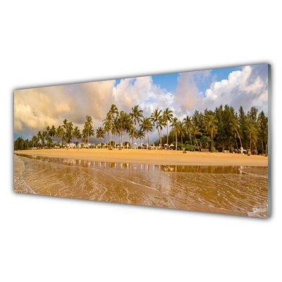 Acrylic Print Beach landscape yellow green