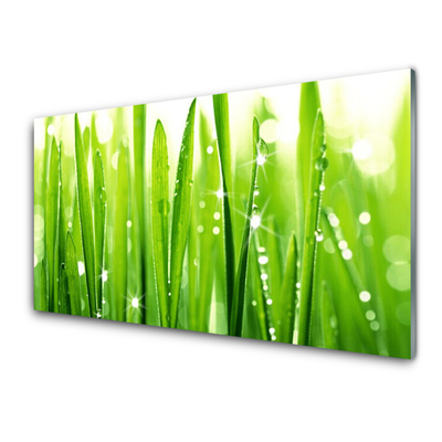 Acrylic Print Grass floral green