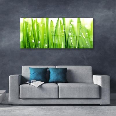 Acrylic Print Grass floral green